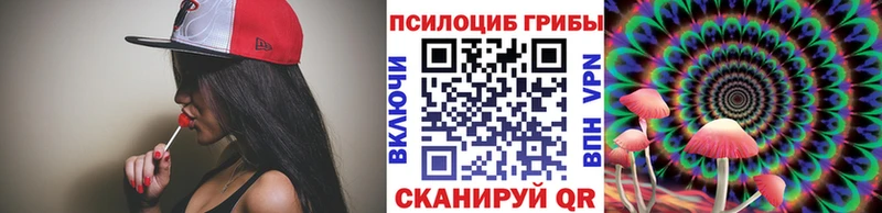 дарк нет официальный сайт  Лиски  Псилоцибиновые грибы Magic Shrooms 